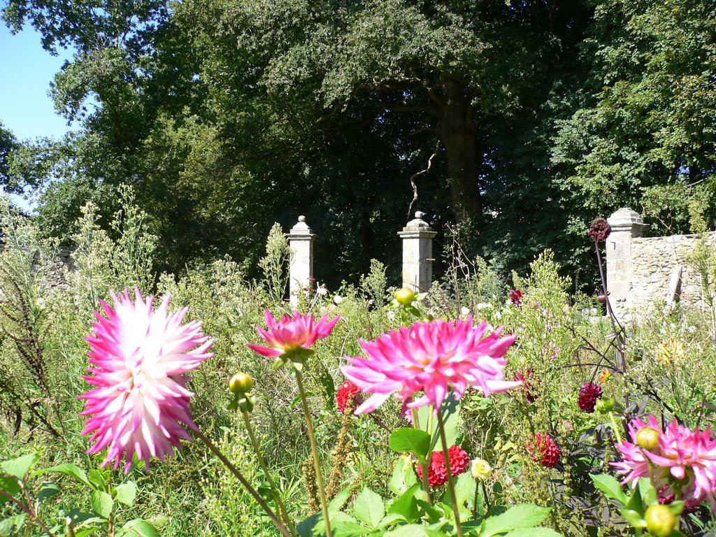 Bed and Breakfast Chateau De La Marronniere Aizenay Exterior foto